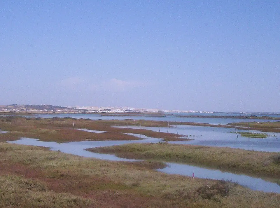 Bahía de Cádiz