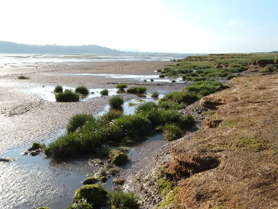 Réserve naturelle nationale de Caerlaverock