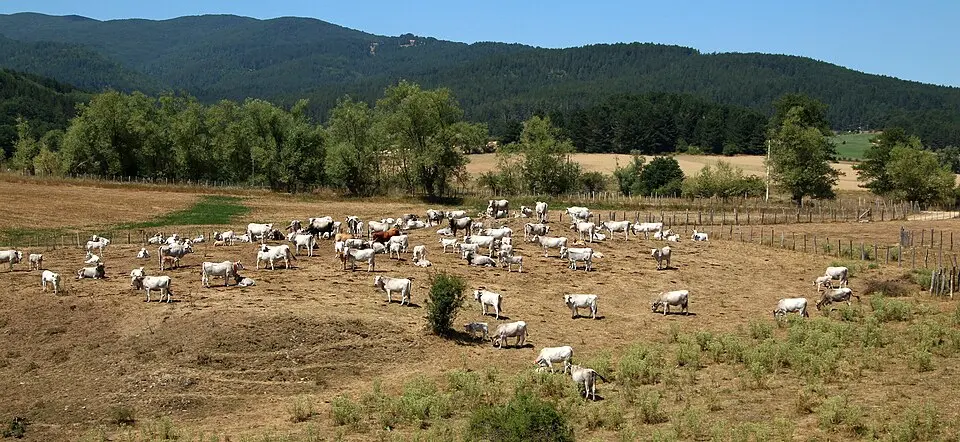 San Nicola Silano