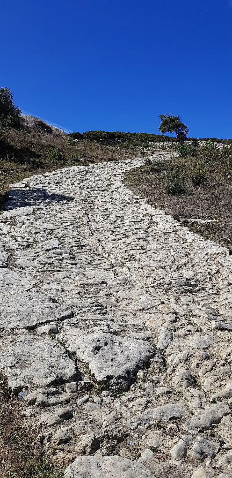 Conjunto constituído pela calçada e ponte romanas e azenha na Catribana