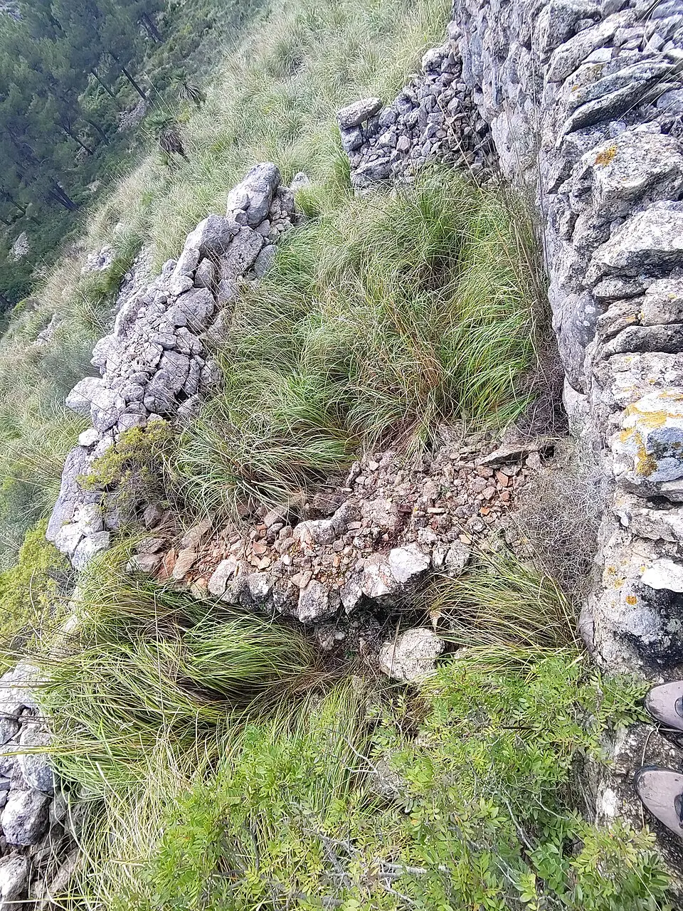 Restos Prehistóricos de Galatzó (Ses Sínies)