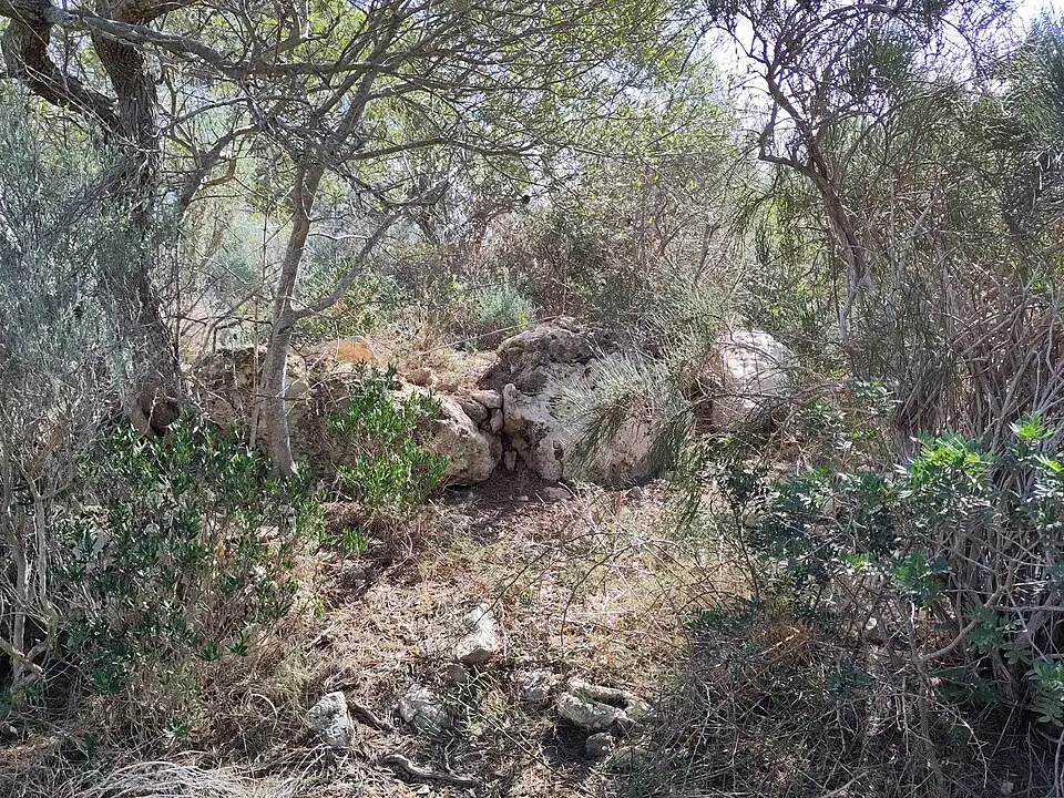 Turriforme escalonado de Son Miralles