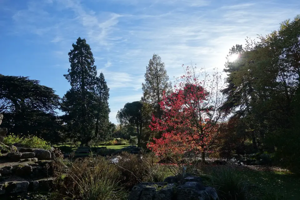 jardin botanique de l'université de Cambridge