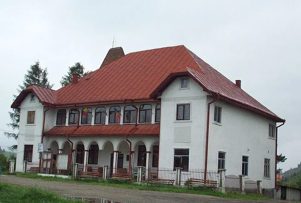 Dorna-Arini