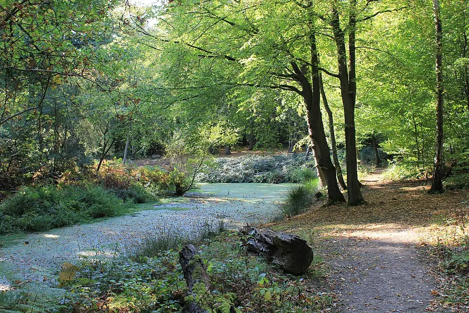 Camlet Moat