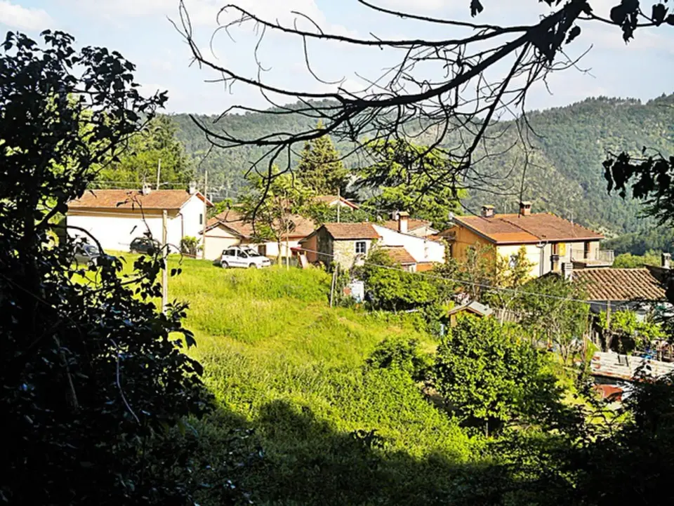 Campagnana
