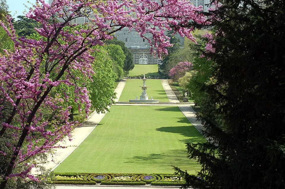 Campo del Moro