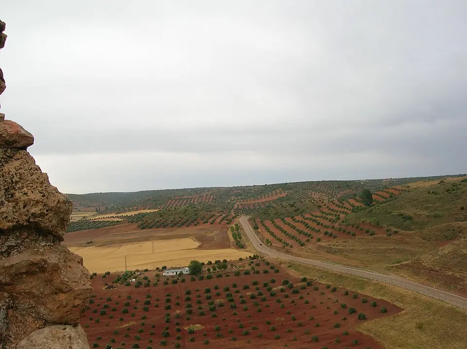 Campo de Montiel