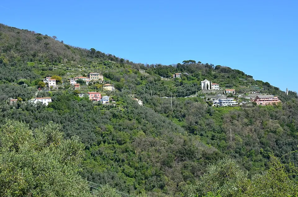 Campodonico