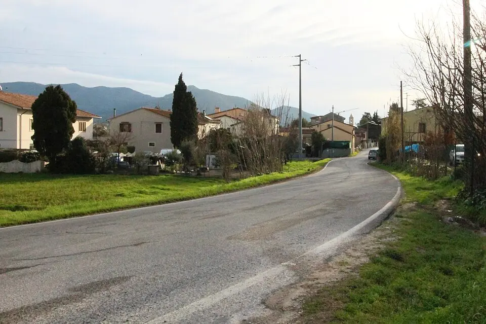 Campo