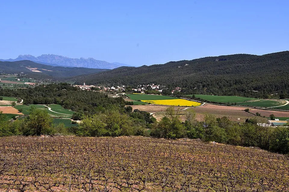 Kép: Angela Llop from Spain · CC BY-SA 2.0 Anoia