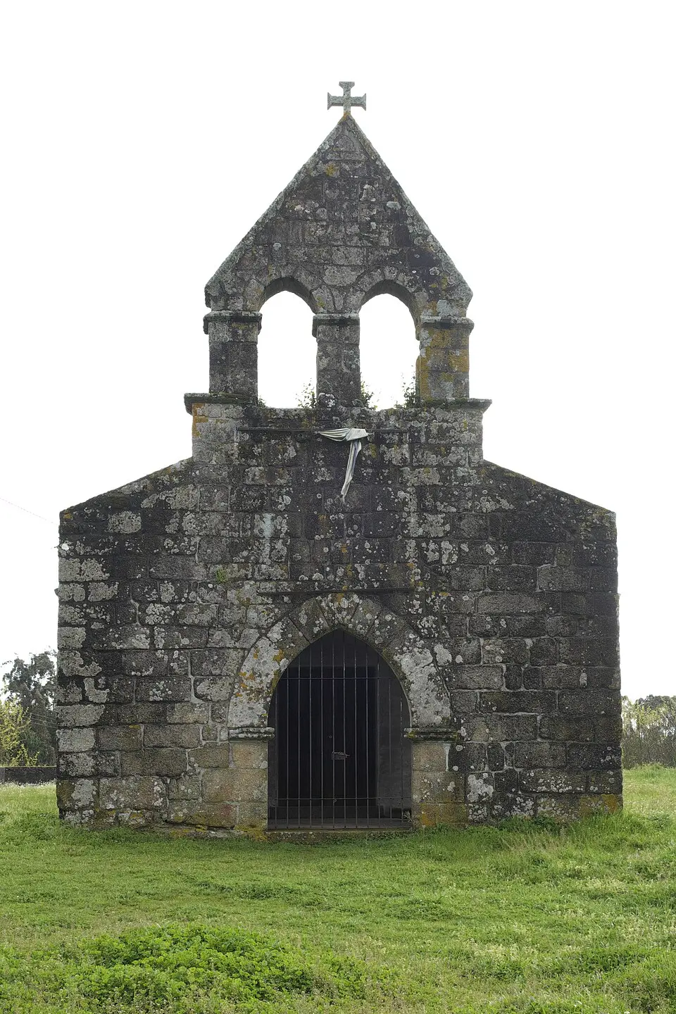 Canas de Santa Maria