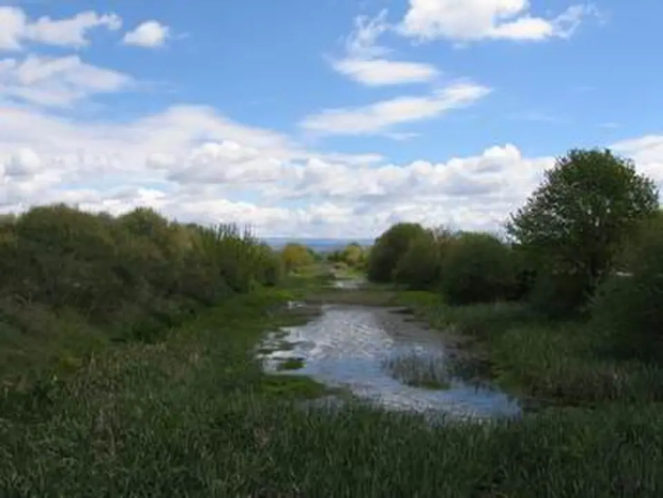 Laguna de Antela
