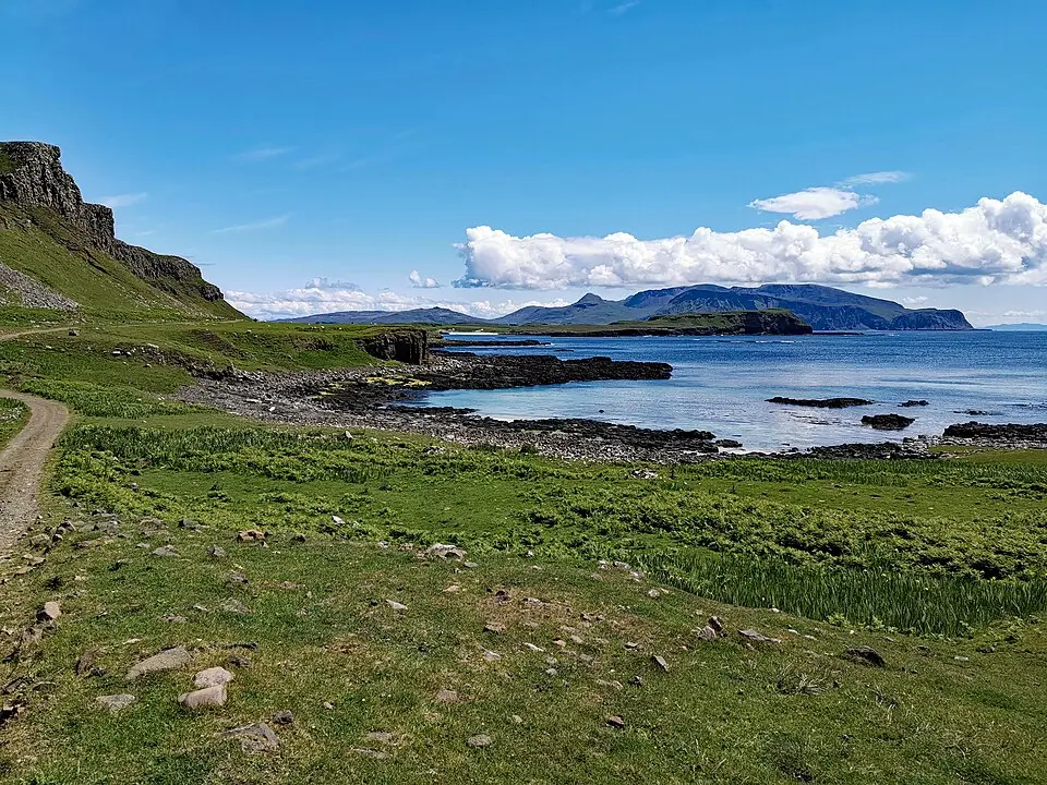 Canna