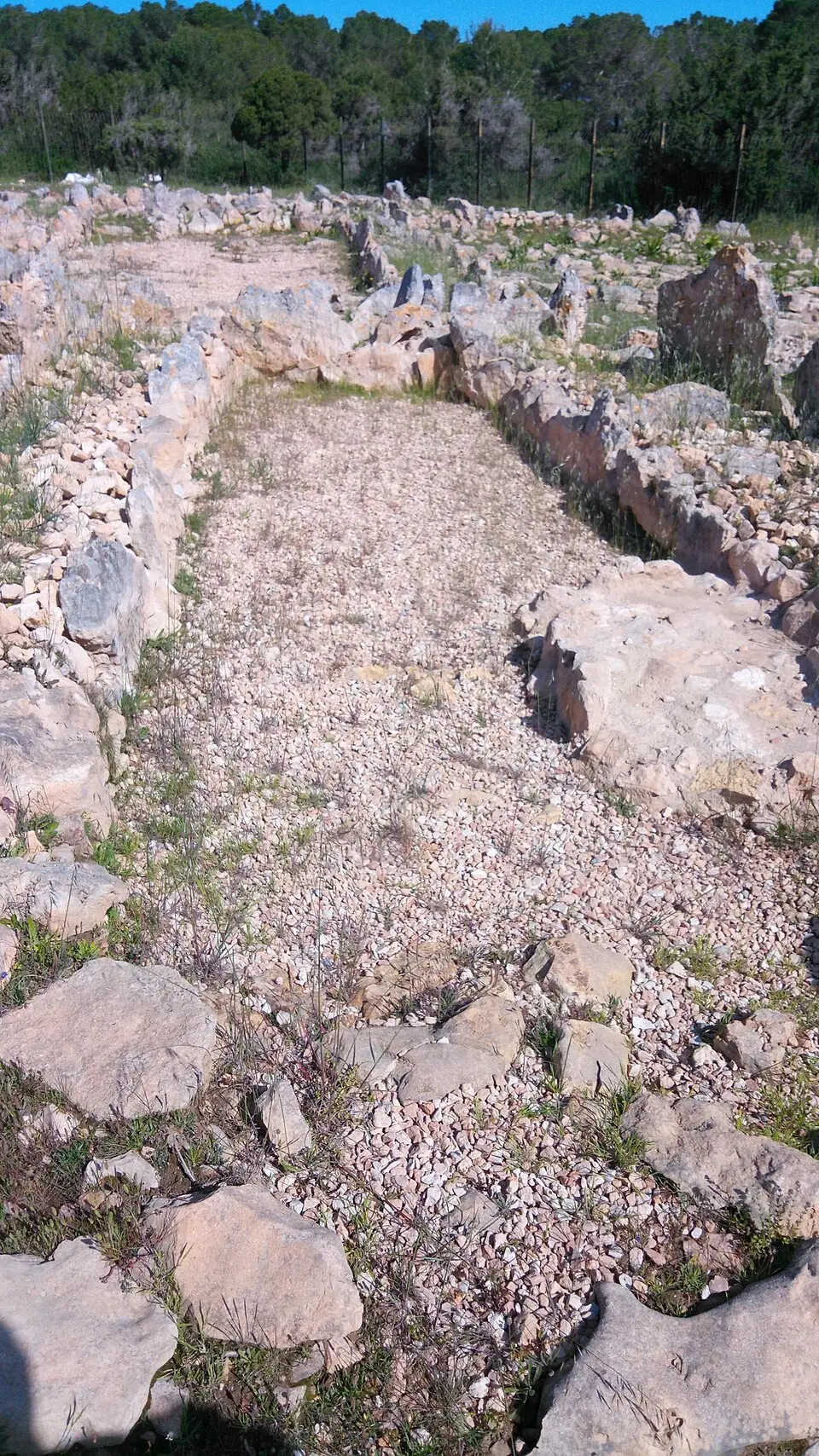 Cap de Barbaria II