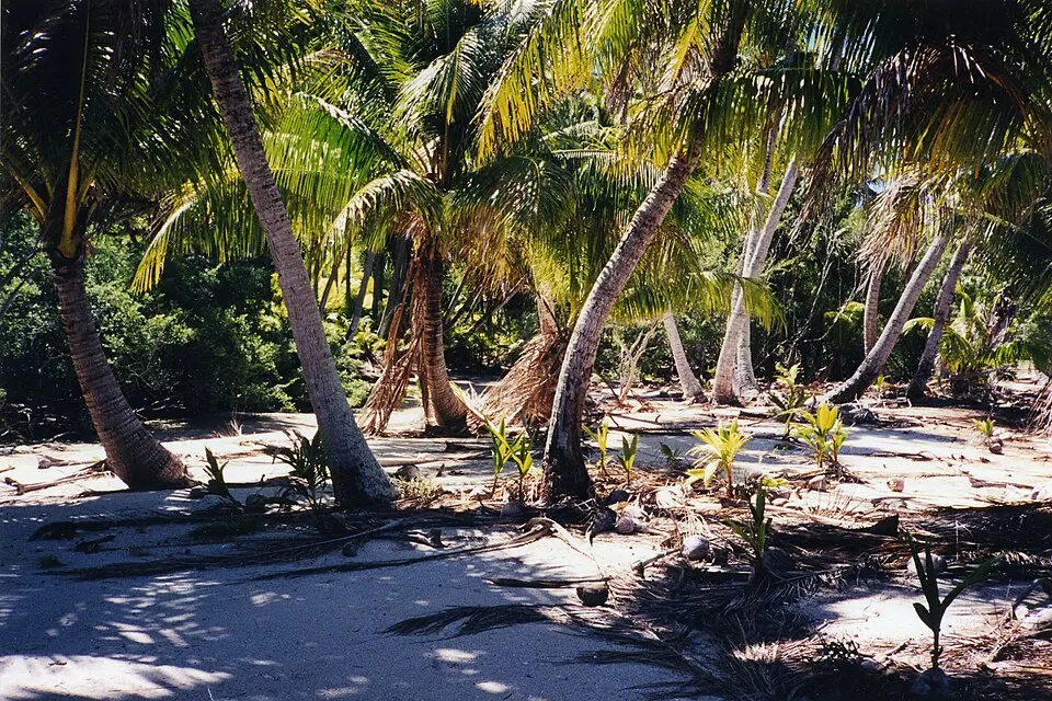 Tuamotus
