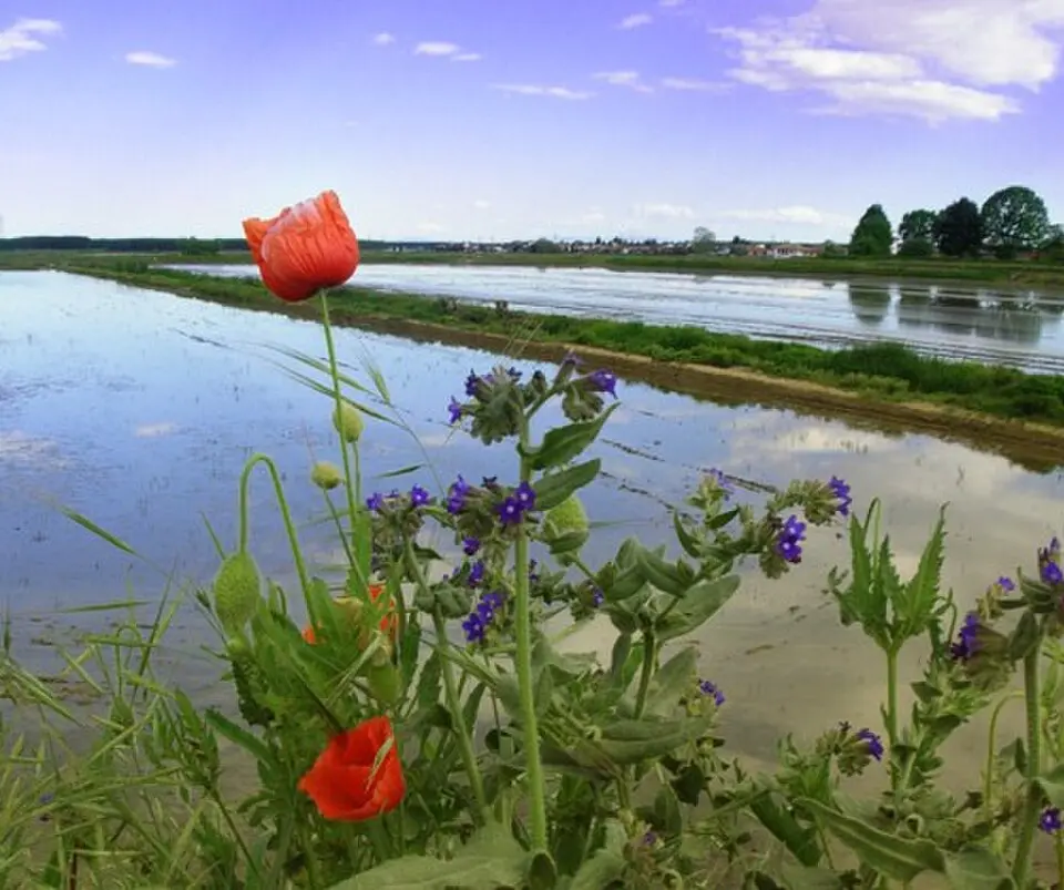 Bild: User:Idéfix · CC BY-SA 3.0 Provinz Vercelli