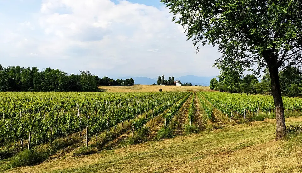 Capriano del Colle