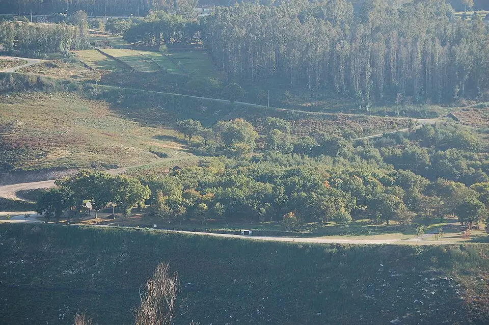 Carballeira de San Xusto