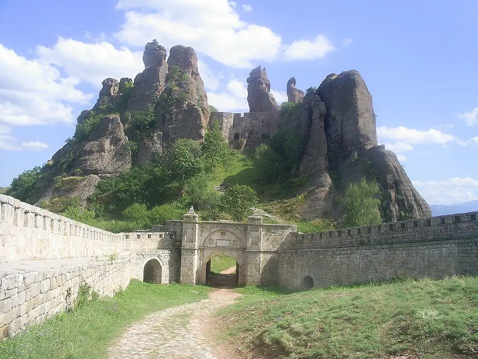 distretto di Vidin