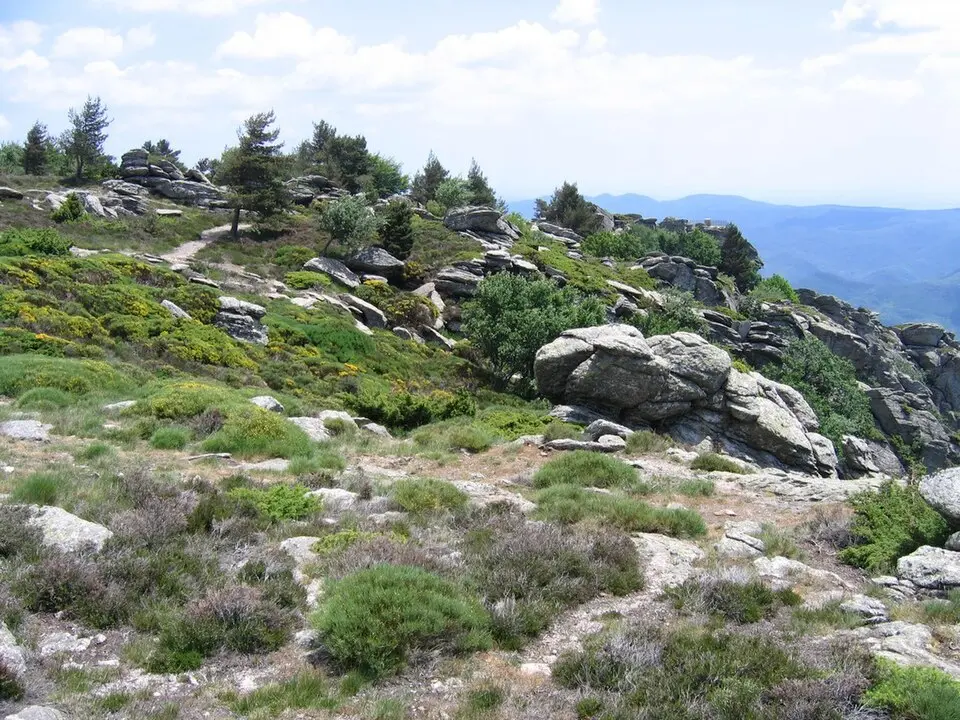 mont Caroux