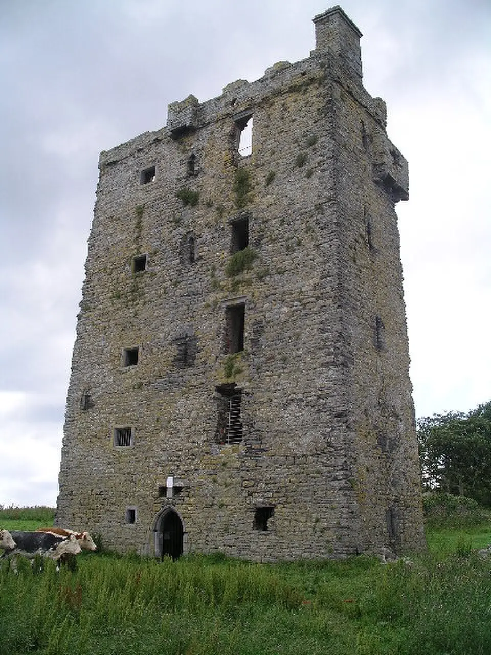 Obrázok: Warren Buckley · CC BY-SA 2.0 Carrigaholt Castle