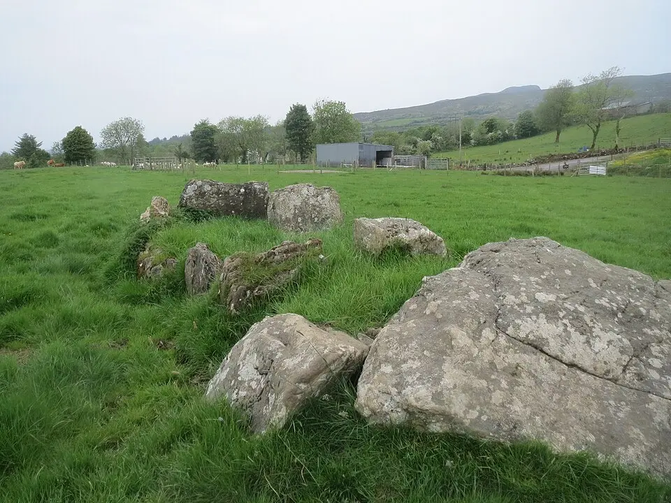 Carrownagh court tomb