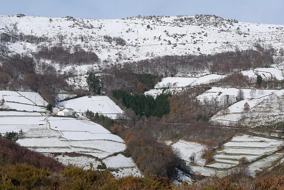 Doiras