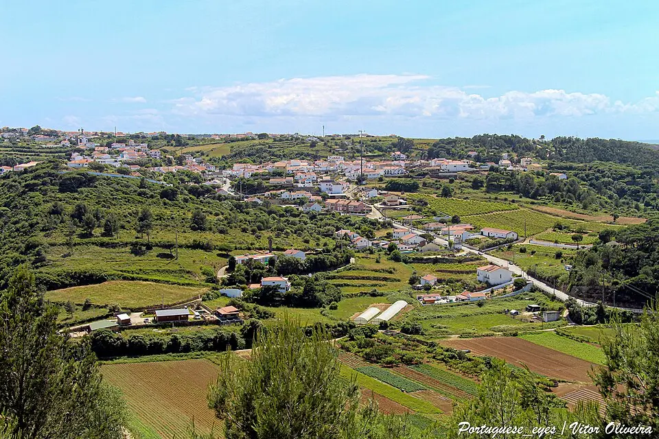 Carvoeira