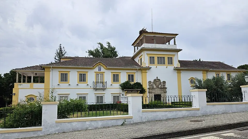 Alvega