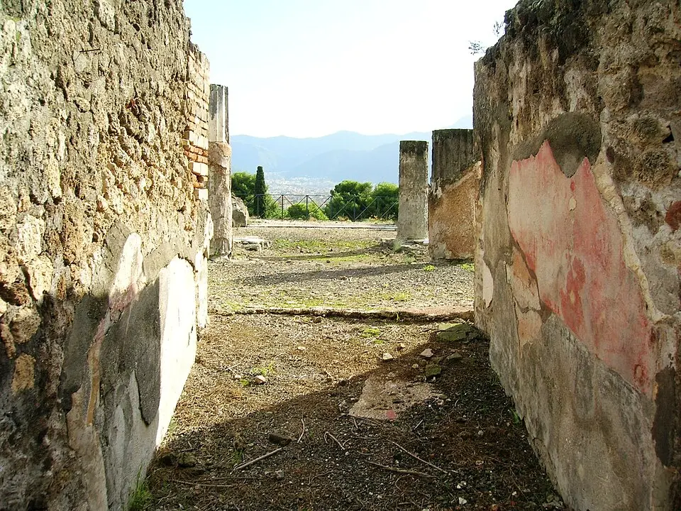 casa del Ninfeo (VIII.2.28)