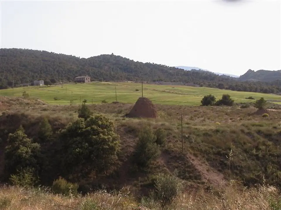 El Palmar