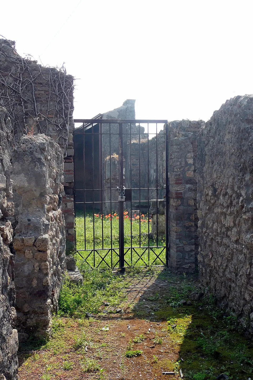 House of the Quadrigae (VII.2.25)