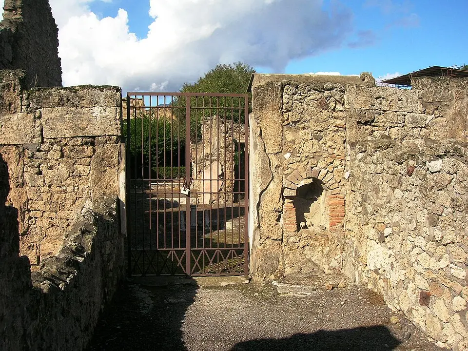 casa di Bacco (V.2.4)