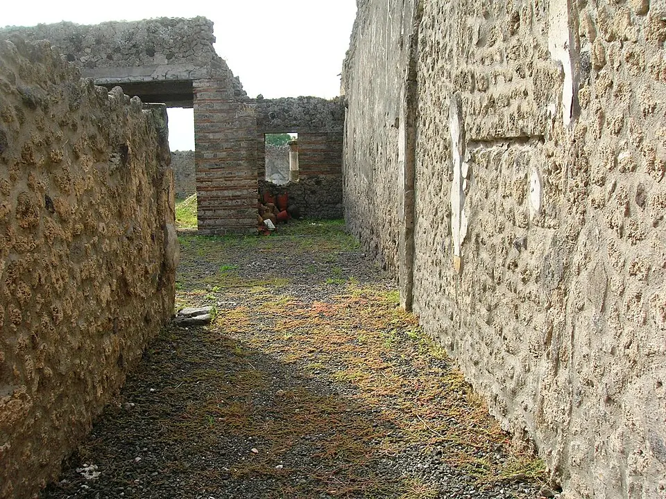 casa di Successus (I.9.3)