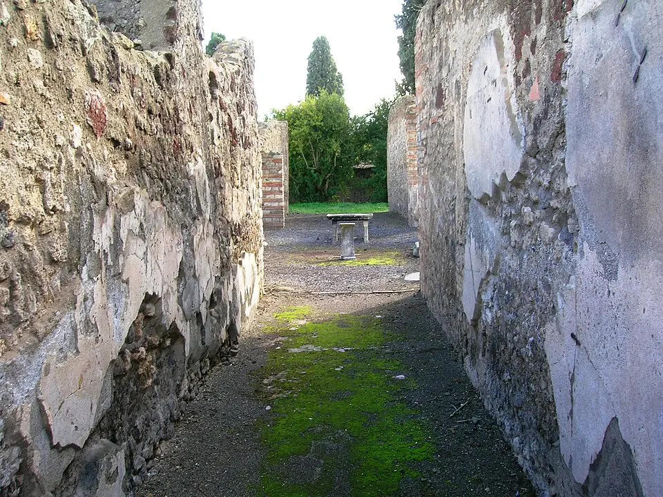 casa di T. Mescini Gelonis (VIII.4.9)