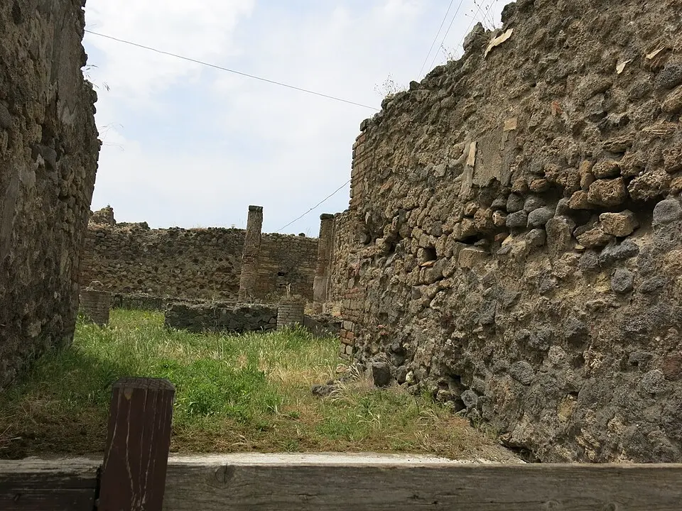 casa di T. Terentius Proculus (VII.2.3)