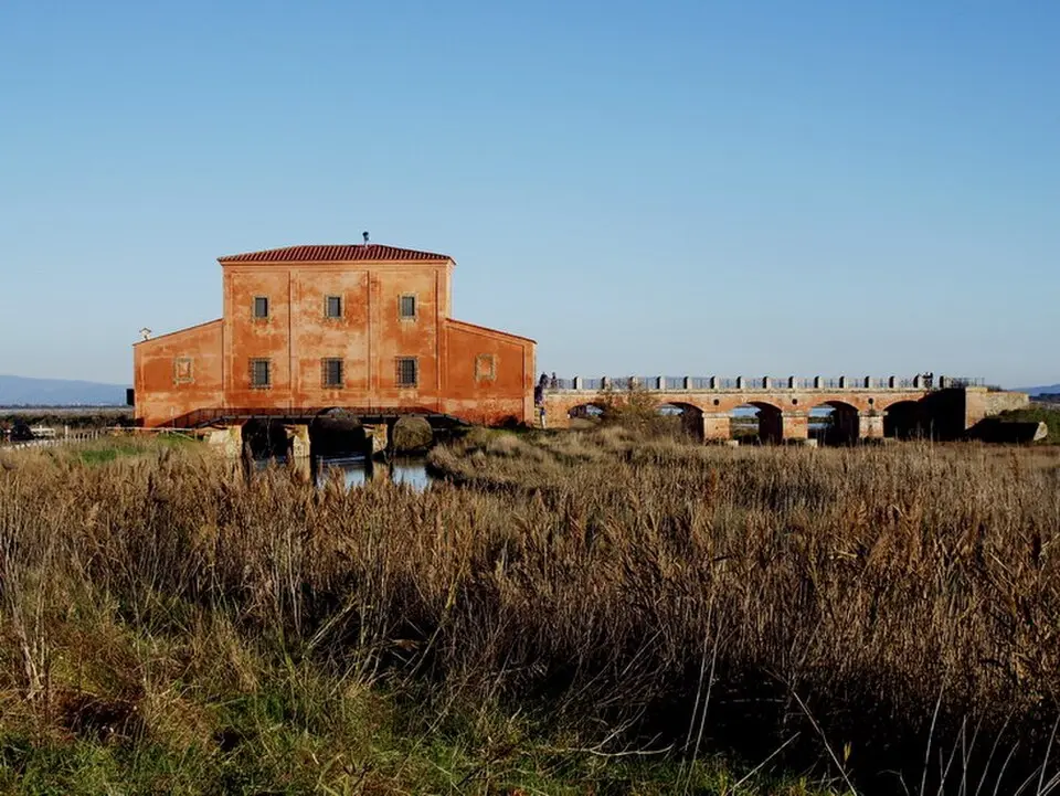 Riserva naturale Diaccia Botrona