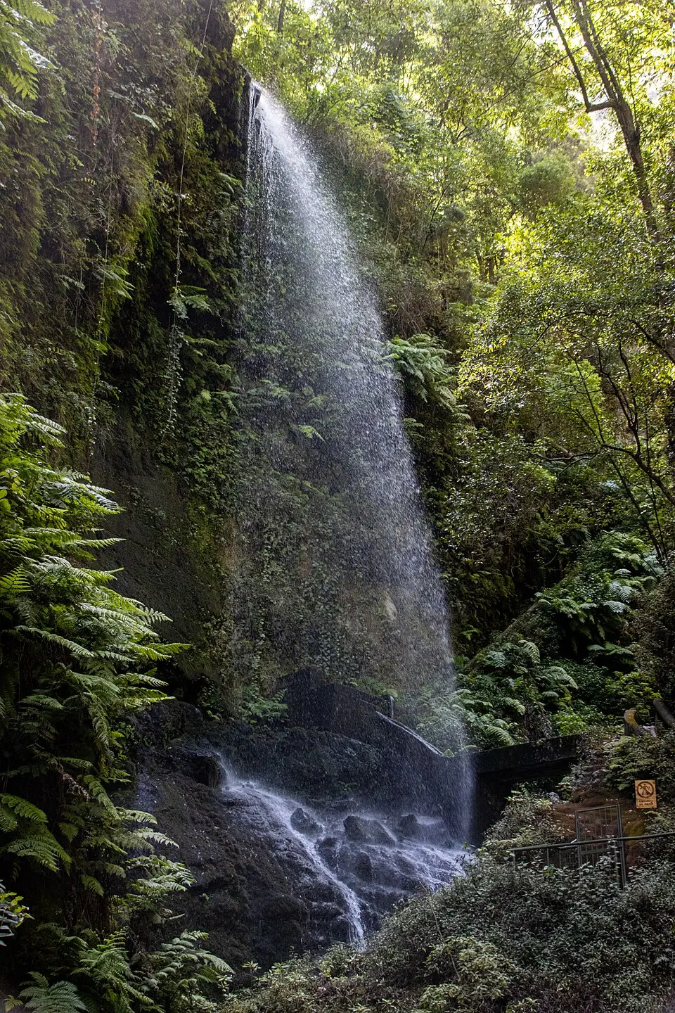Slika: Photograph by Mike Peel (www.mikepeel.net). · CC BY-SA 4.0 Cascada de los Tilos