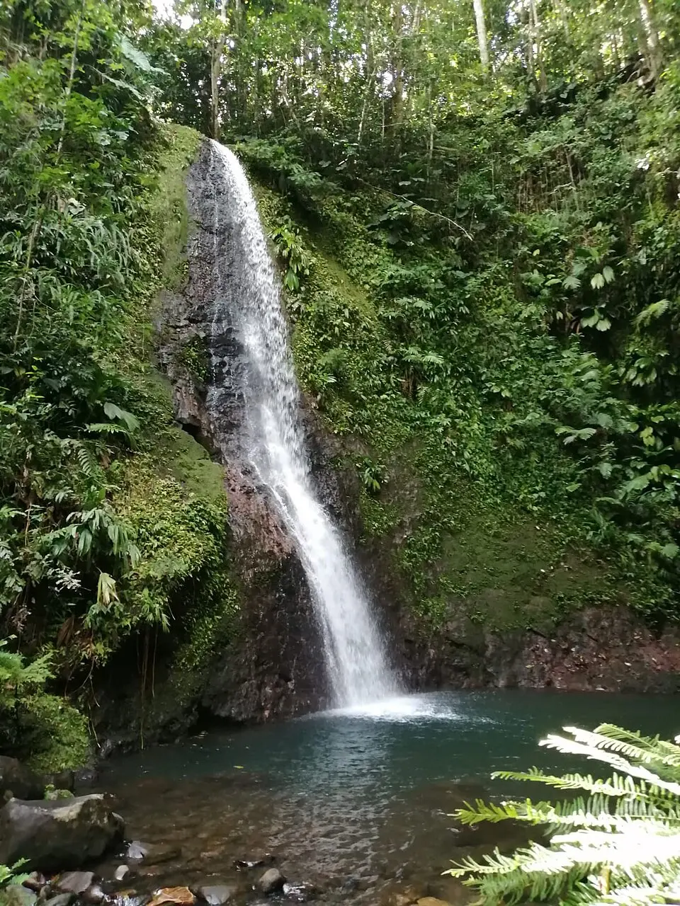 cascade de Bois Bananes