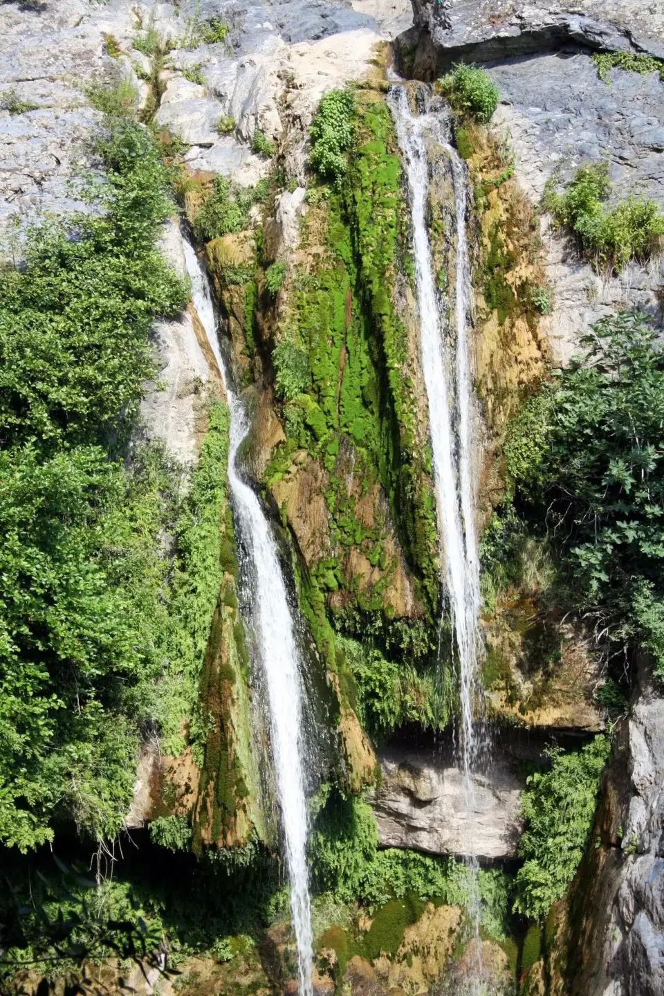 Buccatoggio