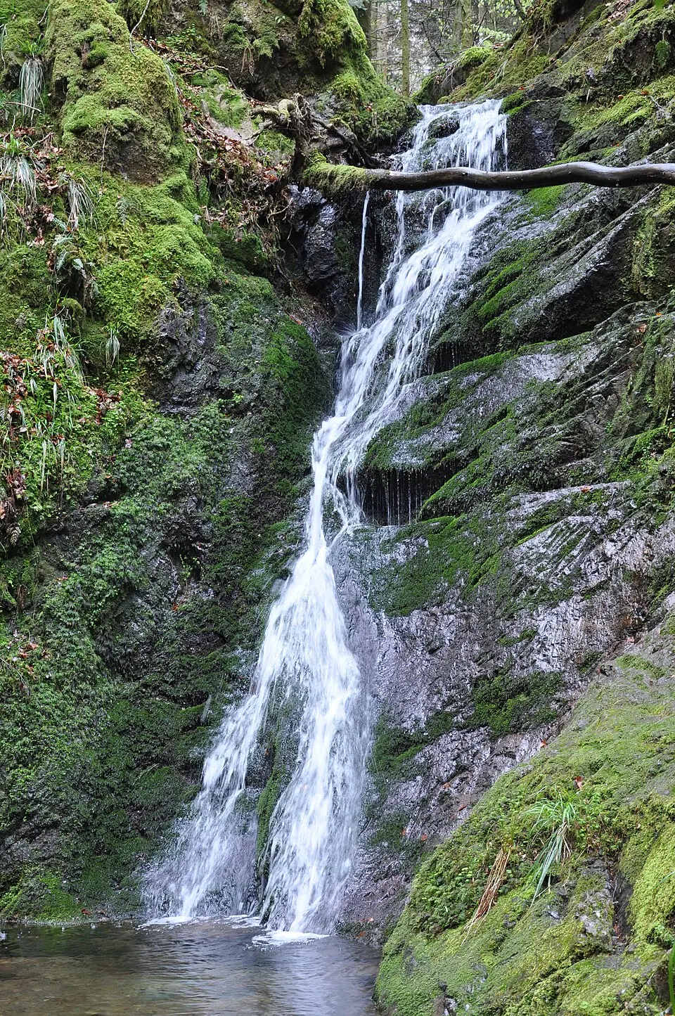 cascade de Longeligoutte