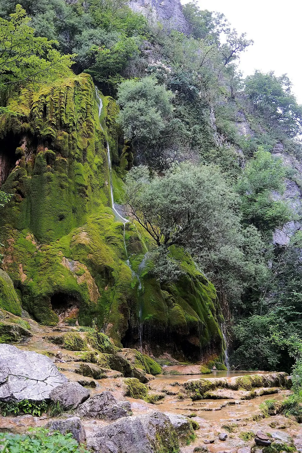 cascade Verte