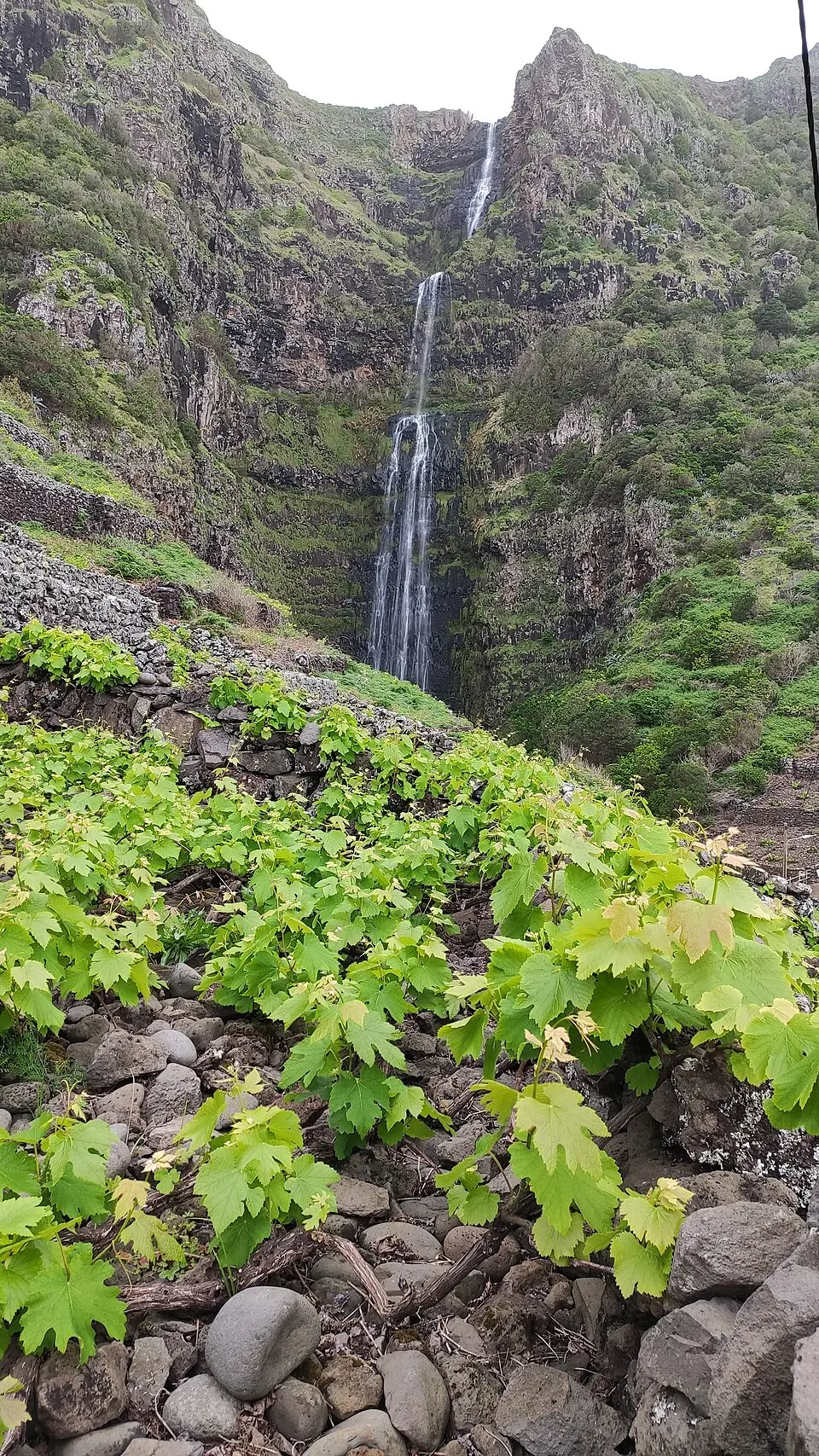 Cascata do Aveiro