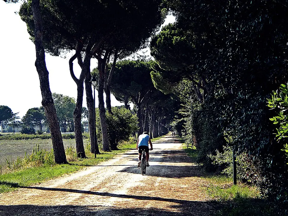 Parco delle Cascine di Tavola