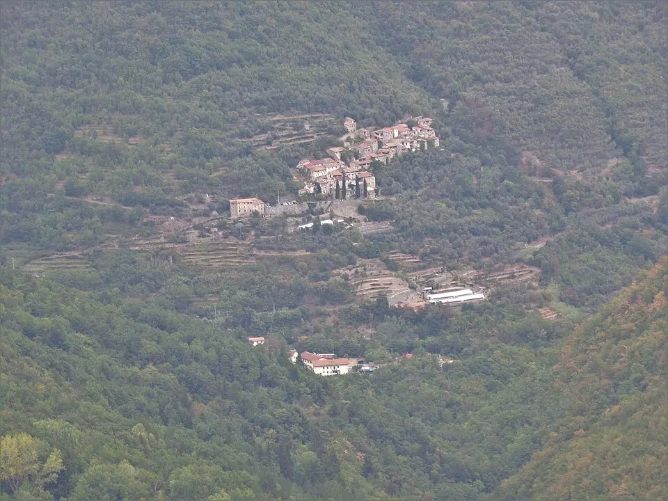 Vignolo