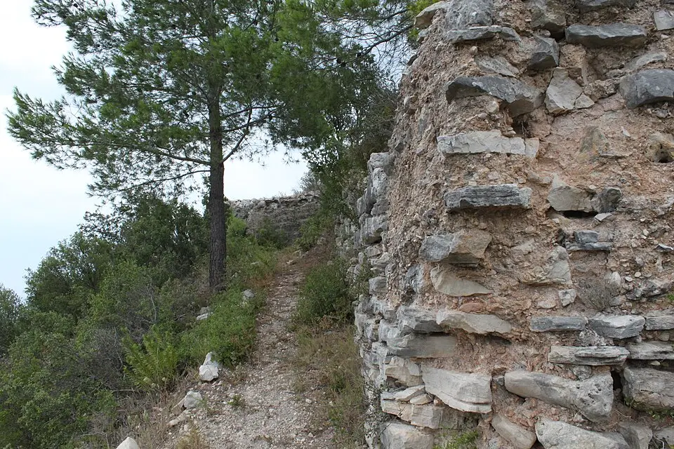 Castillo de la Carbonera