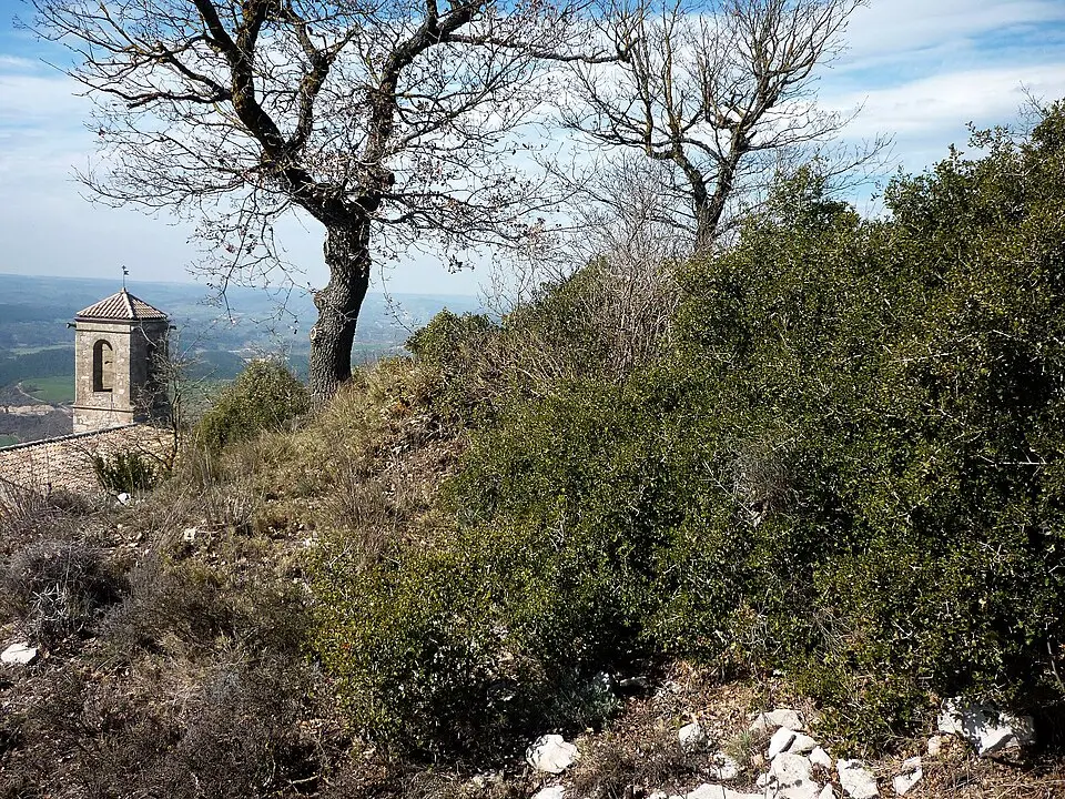 Slika: Isidre blanc · CC BY-SA 4.0 Castillo de La Molsosa