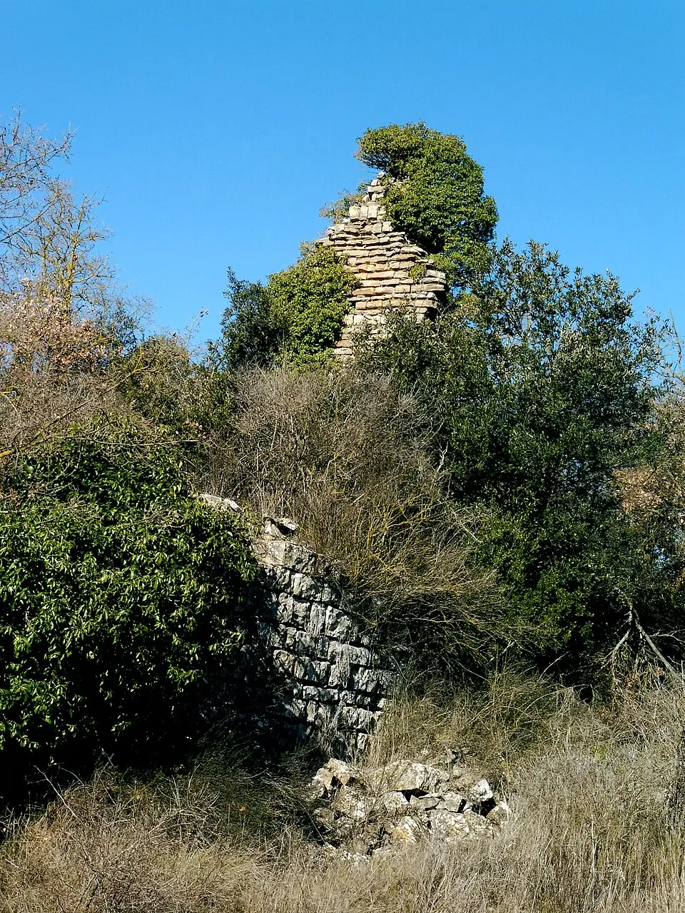 Castillo de Montesquiu
