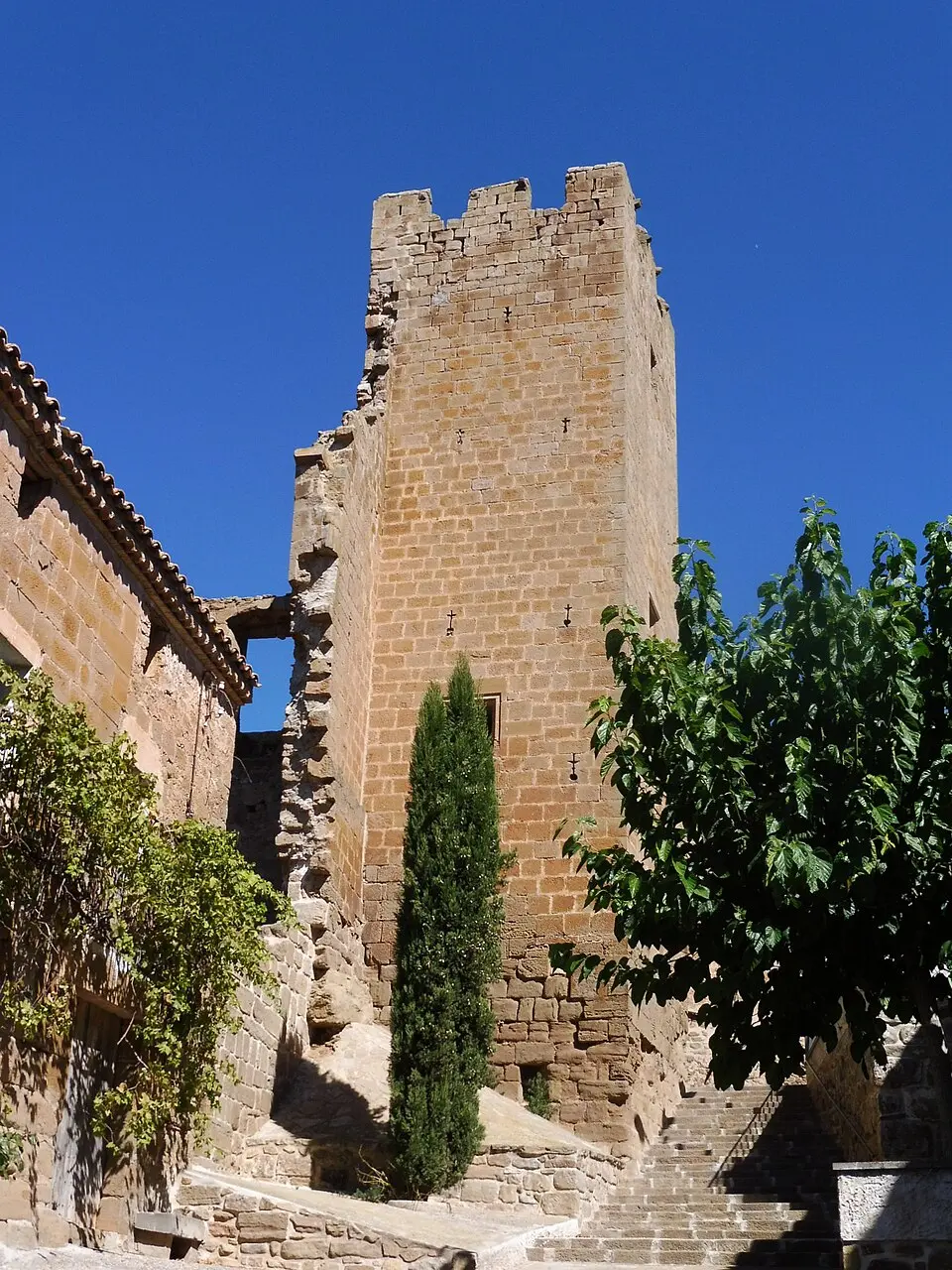 Slika: Isidre blanc · CC BY-SA 4.0 Castell de Montfalcó d'Ossó